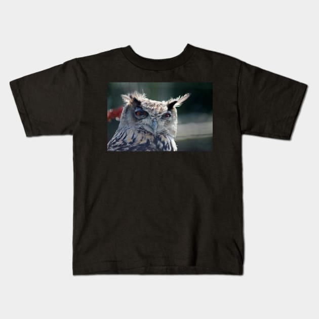 Eagle Owl Kids T-Shirt by Ladymoose